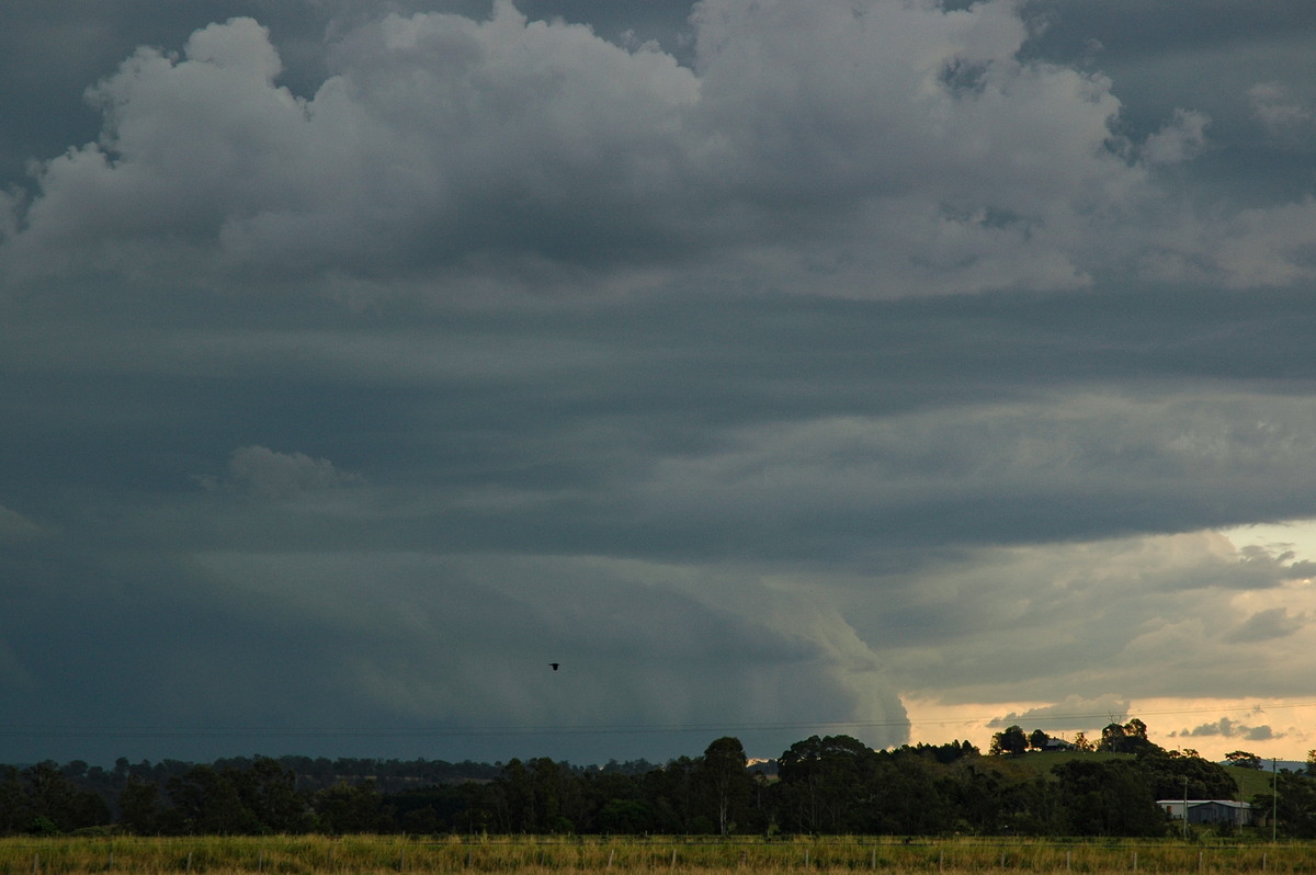 shelfcloud shelf_cloud : N of Casino, NSW   27 September 2005