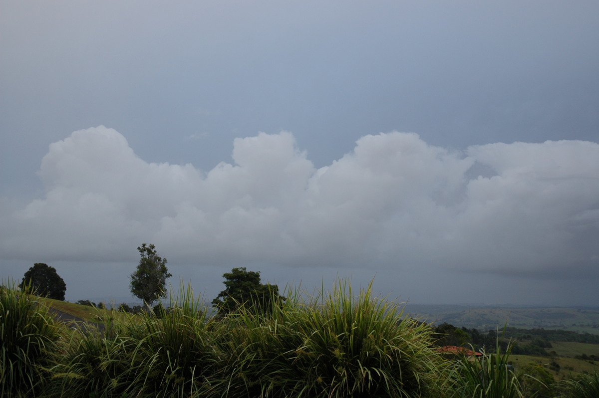 cumulus mediocris : McLeans Ridges, NSW   19 October 2005