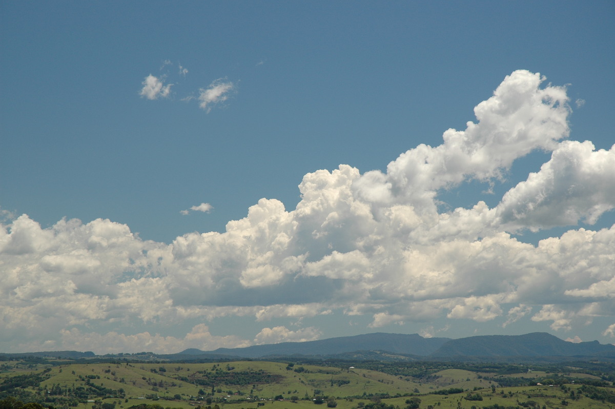 cumulus mediocris : McLeans Ridges, NSW   22 October 2005
