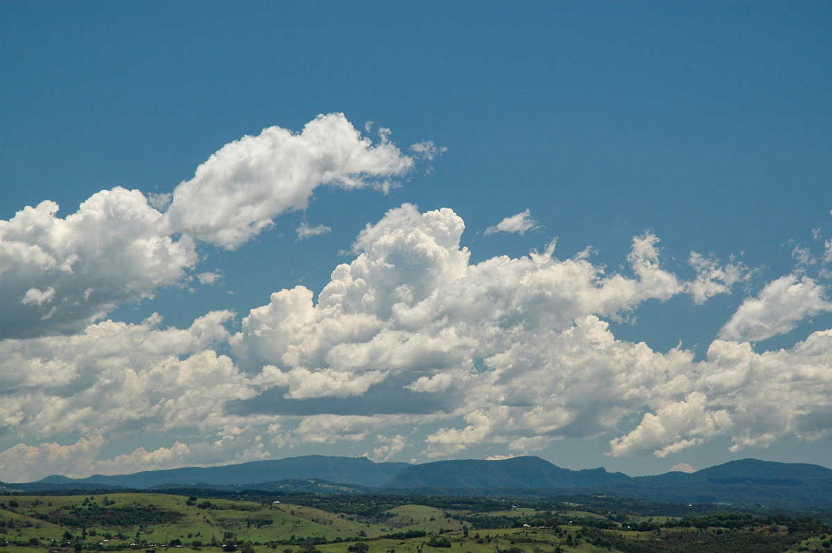 cumulus mediocris : McLeans Ridges, NSW   22 October 2005