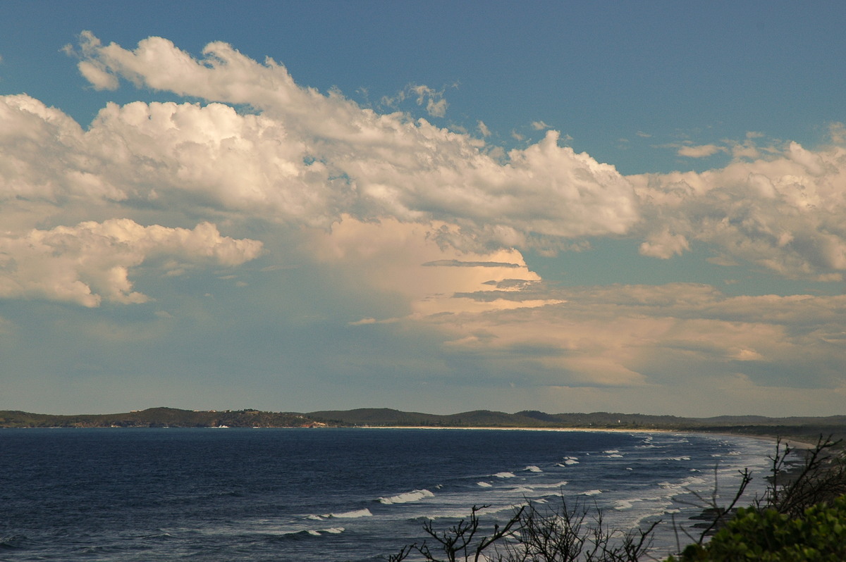cumulus mediocris : Broadwater, NSW   22 October 2005
