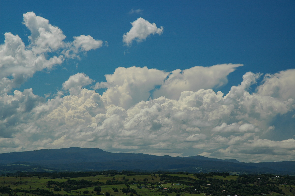 cumulus congestus : McLeans Ridges, NSW   23 October 2005