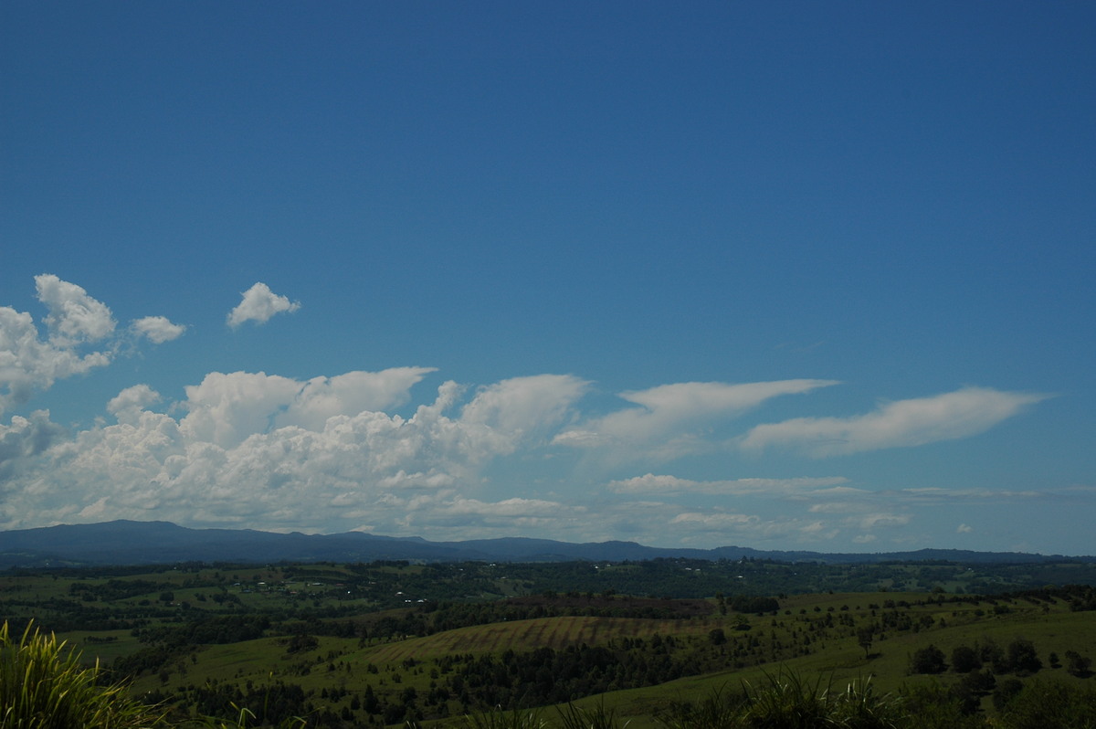 cumulus congestus : McLeans Ridges, NSW   23 October 2005