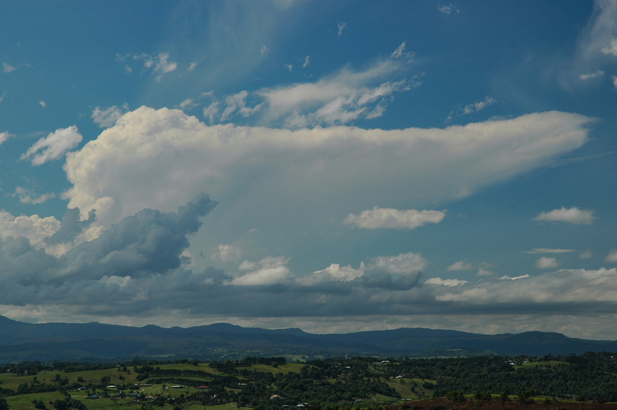 favourites michael_bath : McLeans Ridges, NSW   23 October 2005