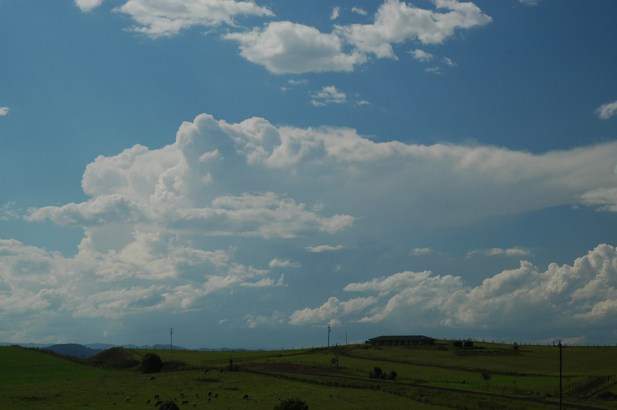 anvil thunderstorm_anvils : near Kyogle, NSW   25 October 2005