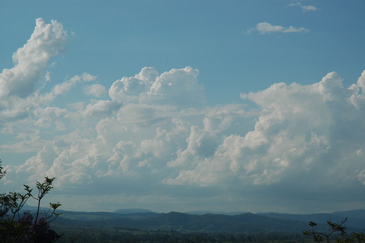 cumulus congestus : Kyogle, NSW   25 October 2005