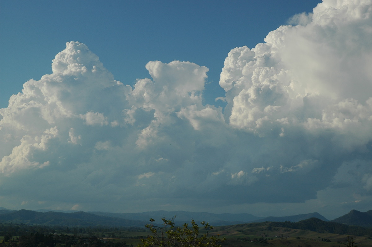 cumulus congestus : Kyogle, NSW   25 October 2005