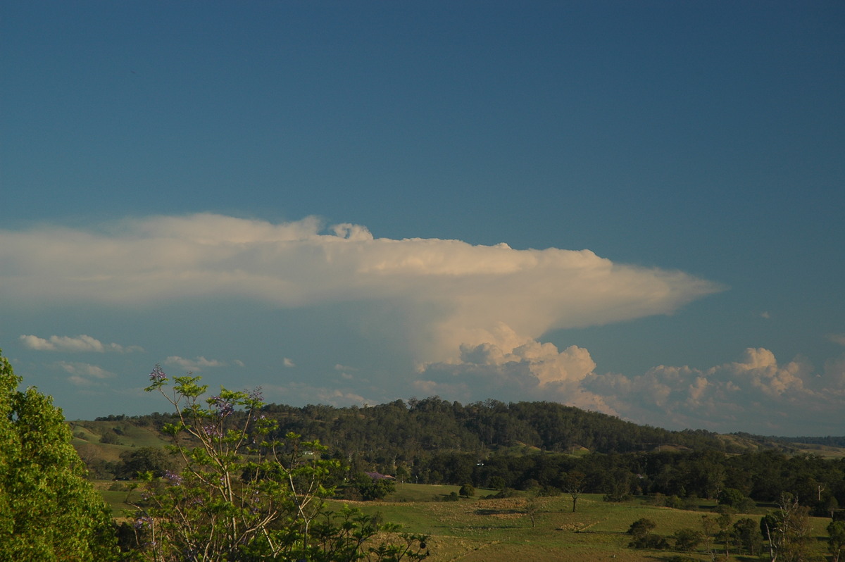 thunderstorm cumulonimbus_incus : Kyogle, NSW   25 October 2005