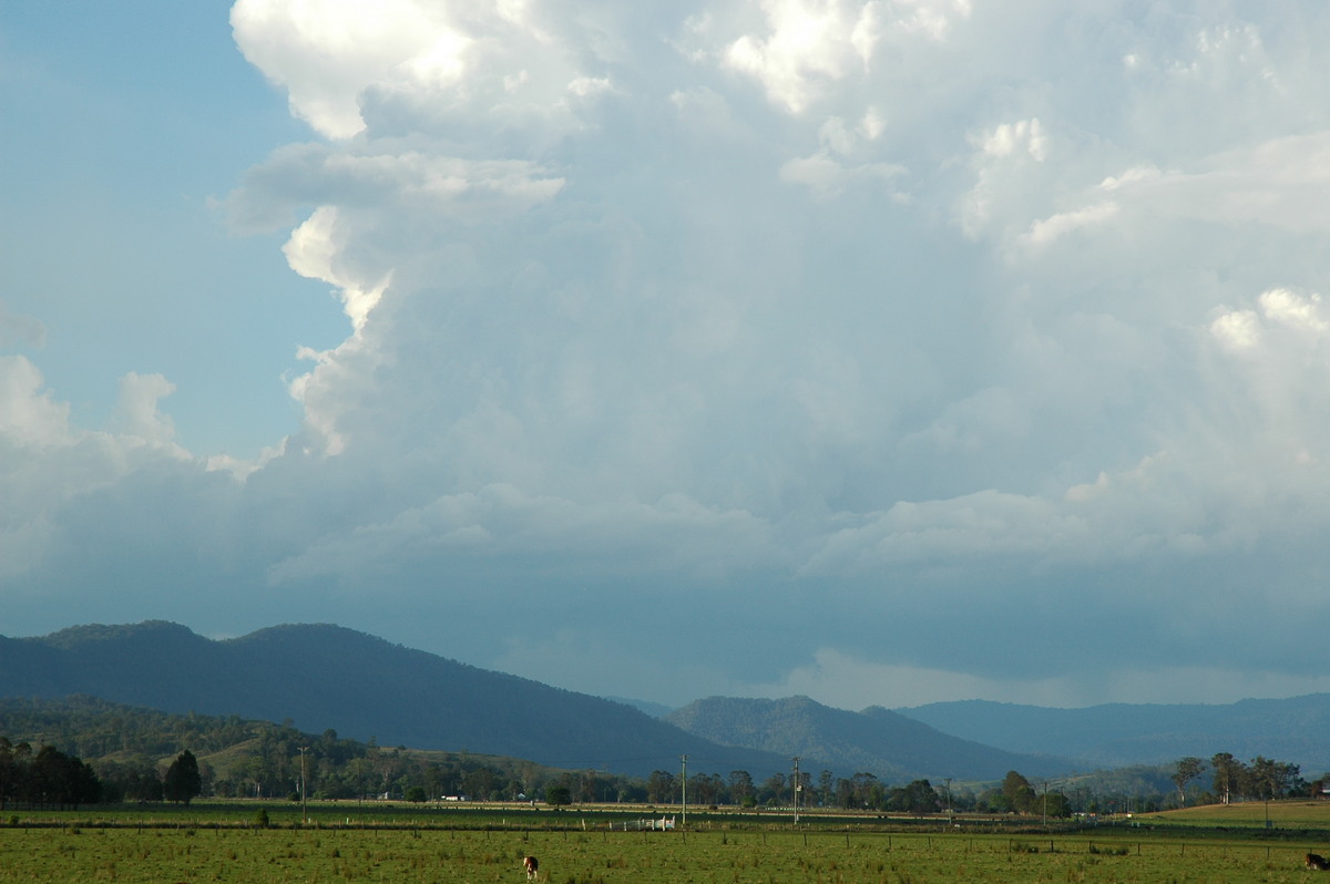cumulonimbus thunderstorm_base : Kyogle, NSW   25 October 2005