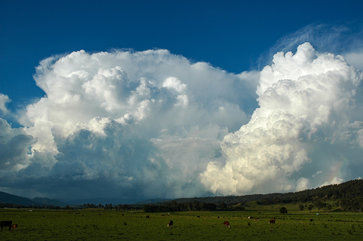 rainbow rainbow_pictures : Kyogle, NSW   25 October 2005