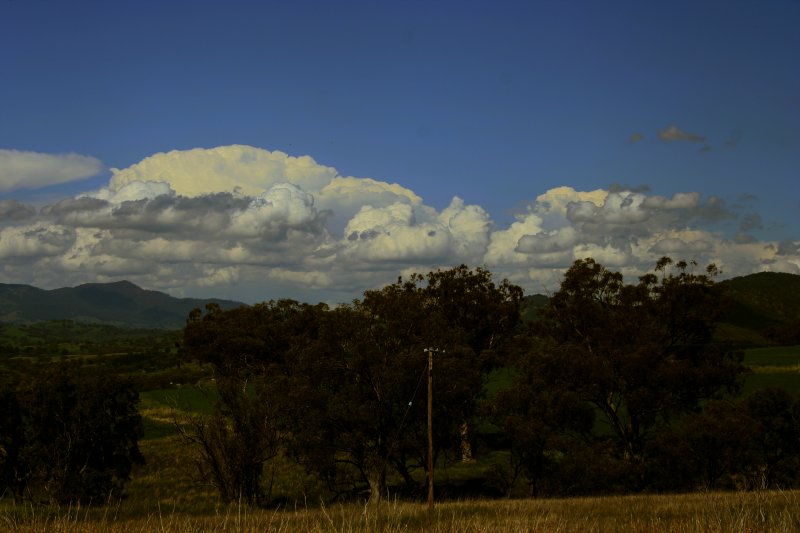 cumulus mediocris : N of Willow Tree, NSW   27 October 2005