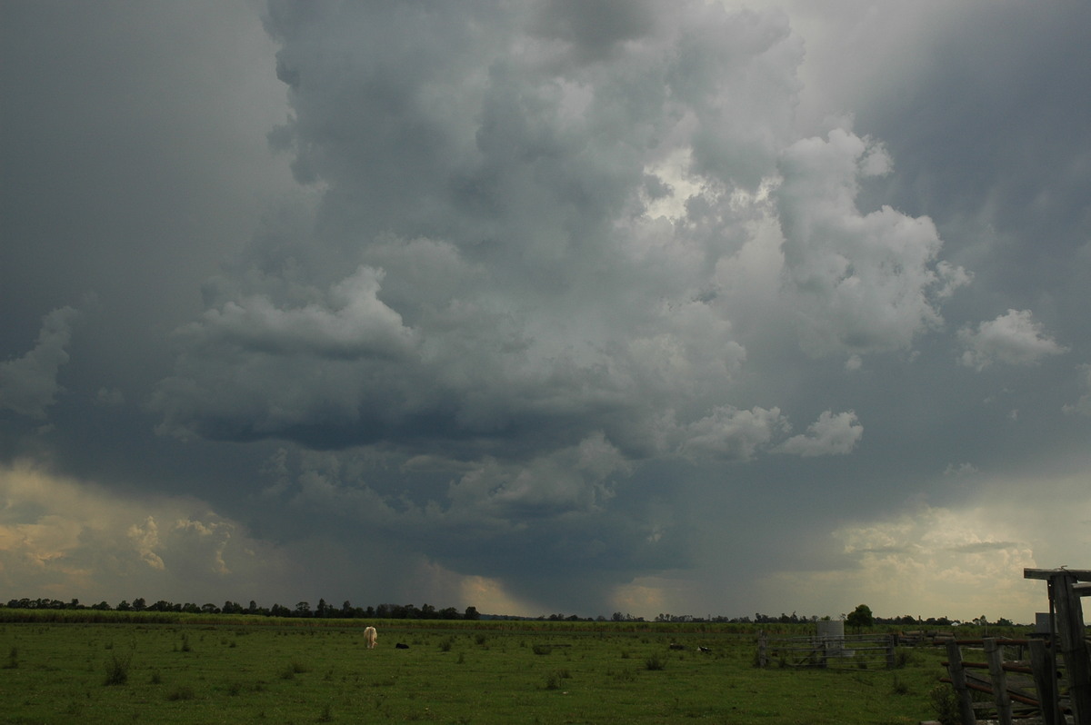 cumulonimbus thunderstorm_base : near Coraki, NSW   27 October 2005