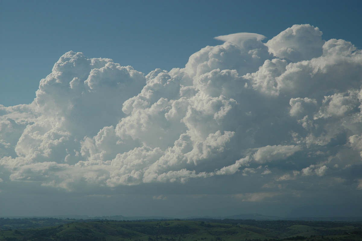 thunderstorm cumulonimbus_calvus : McLeans Ridges, NSW   28 October 2005