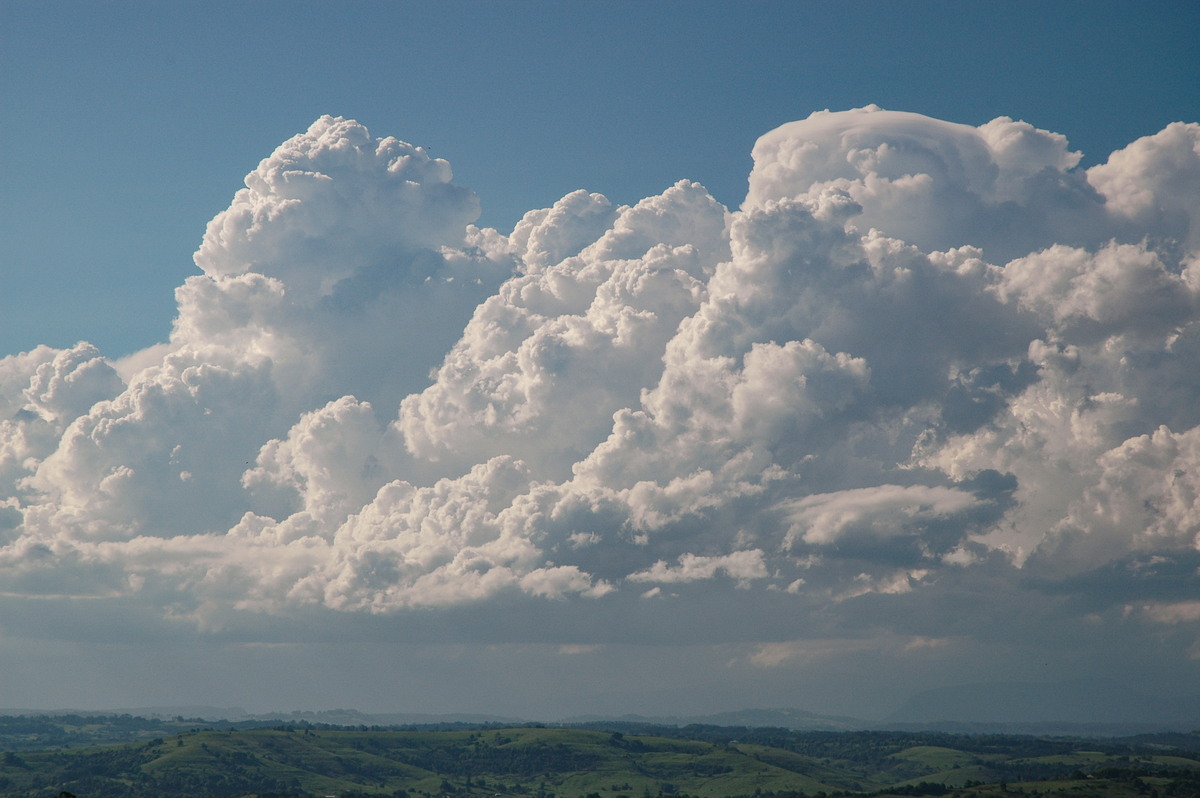 pileus pileus_cap_cloud : McLeans Ridges, NSW   28 October 2005