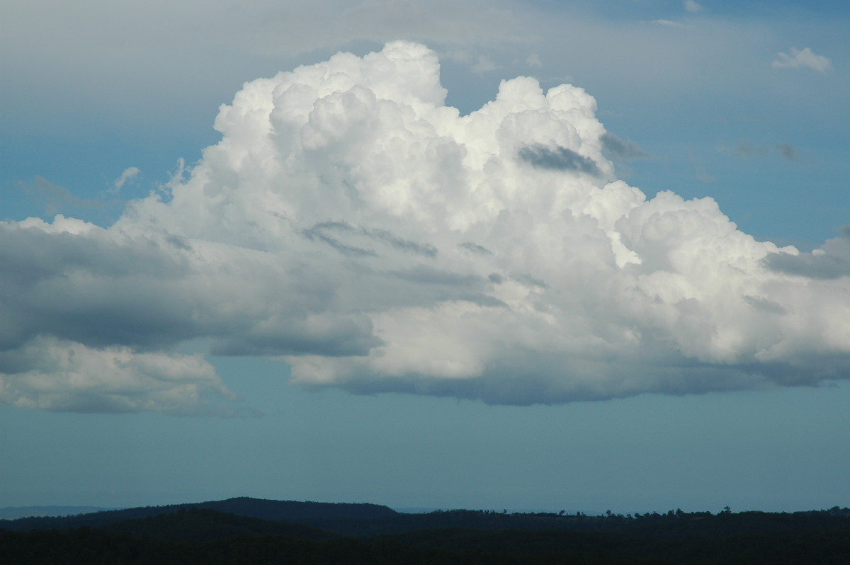 cumulus mediocris : Mallanganee NSW   9 November 2005
