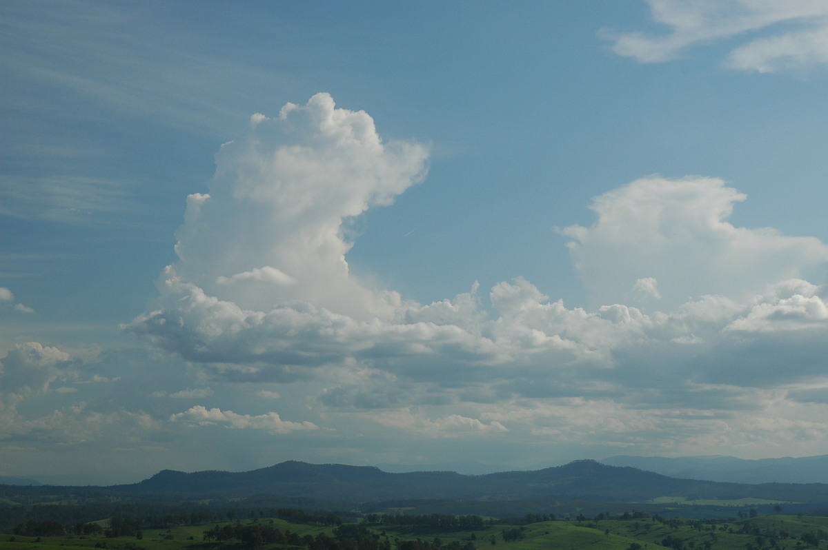 thunderstorm cumulonimbus_calvus : Mallanganee NSW   9 November 2005