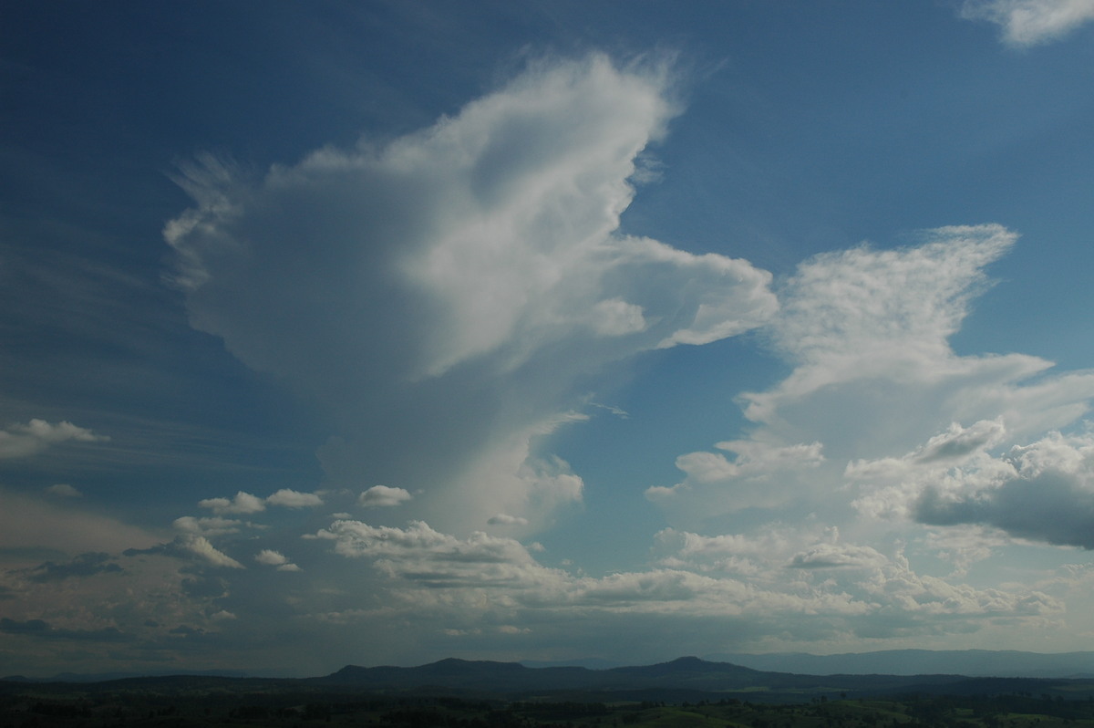 thunderstorm cumulonimbus_incus : Mallanganee NSW   9 November 2005