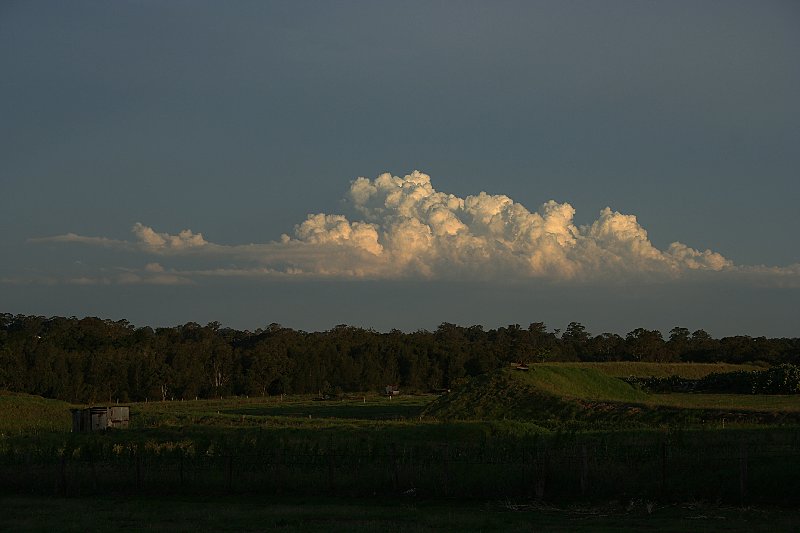 cumulus mediocris : Schofields, NSW   10 November 2005