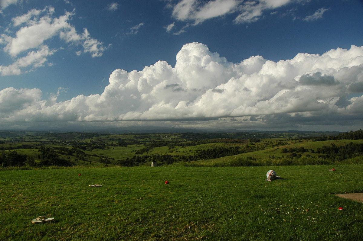 favourites michael_bath : McLeans Ridges, NSW   13 November 2005