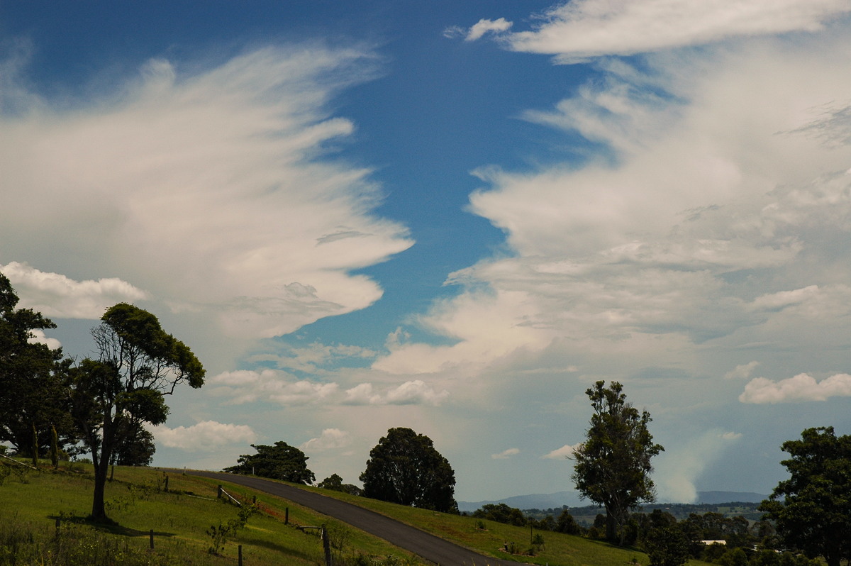 thunderstorm cumulonimbus_incus : McLeans Ridges, NSW   15 November 2005