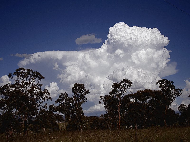 updraft thunderstorm_updrafts : Walcha, NSW   20 November 2005