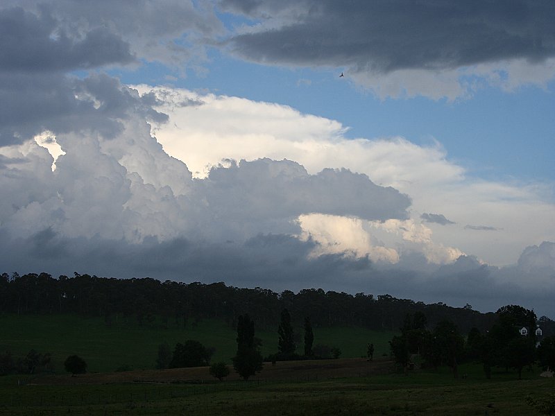 stratus stratus_cloud : S of Walcha, NSW   20 November 2005
