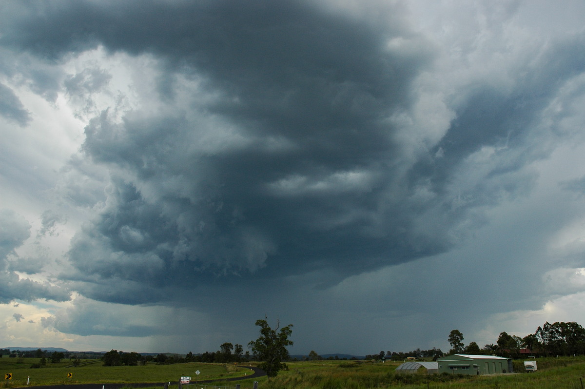 cumulonimbus thunderstorm_base : W of Casino, NSW   20 November 2005