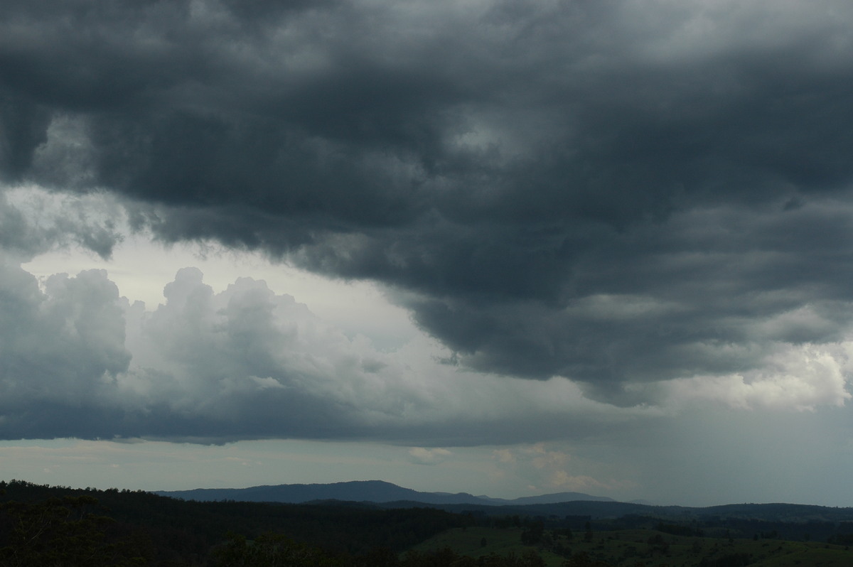 cumulonimbus thunderstorm_base : Mallanganee NSW   20 November 2005