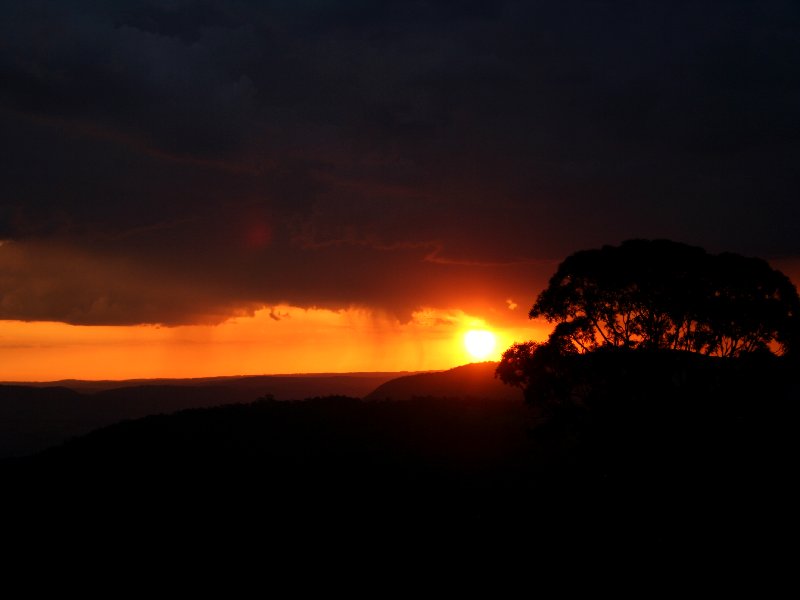 favourites jimmy_deguara : Mt Lambie, NSW   22 November 2005