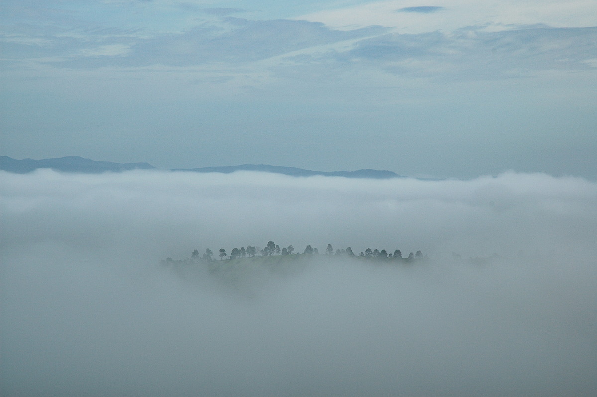 fogmist fog_mist_frost : McLeans Ridges, NSW   23 November 2005