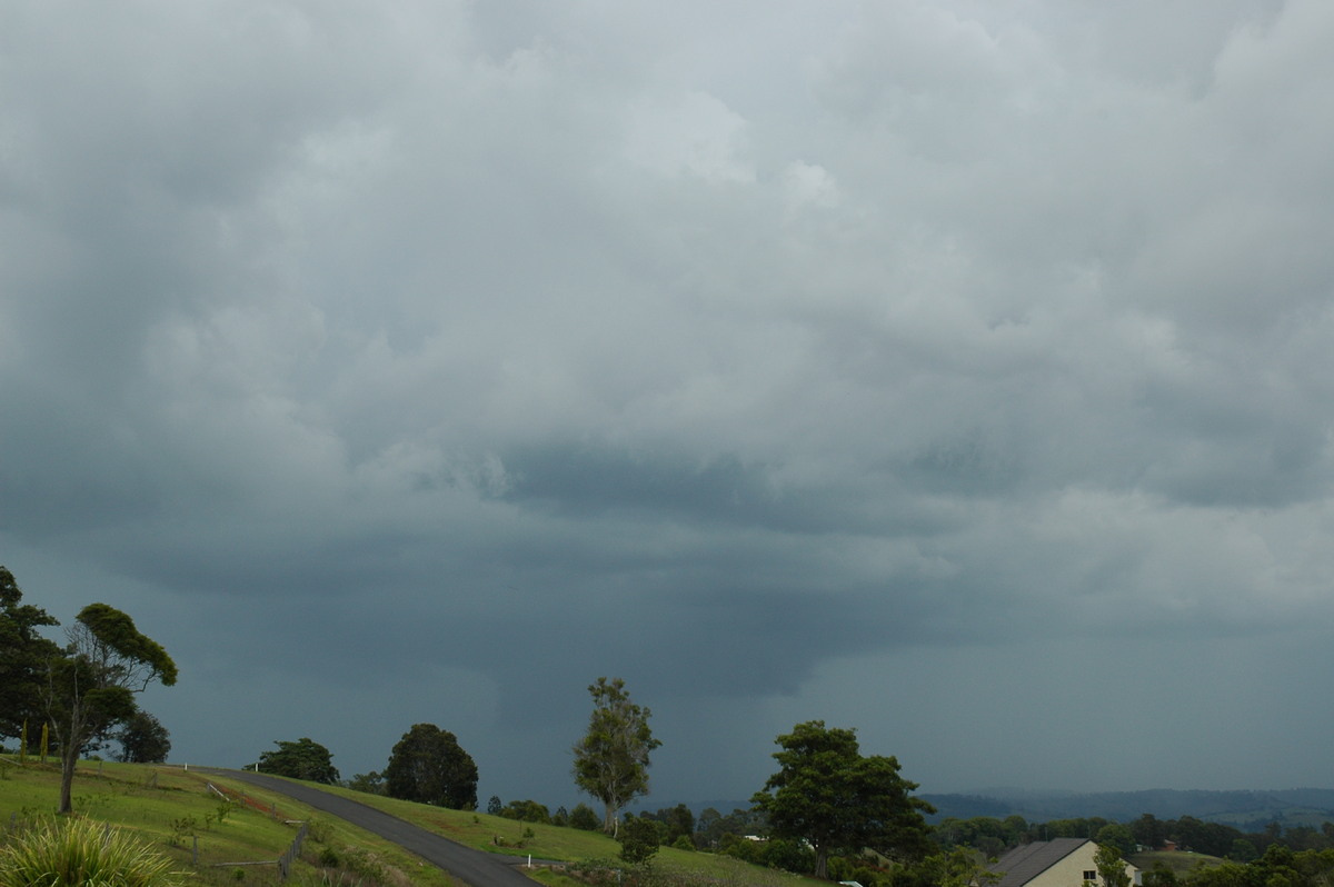cumulonimbus thunderstorm_base : McLeans Ridges, NSW   23 November 2005
