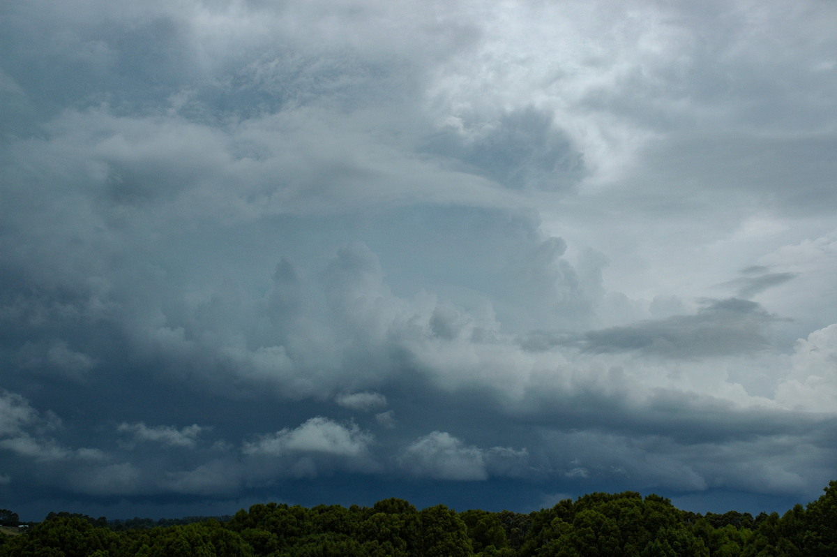 cumulonimbus thunderstorm_base : Tregeagle, NSW   23 November 2005