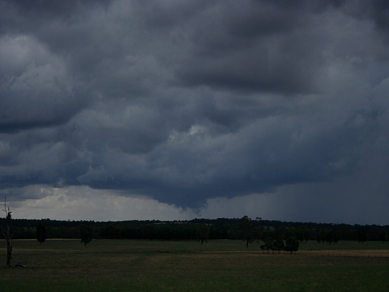 cumulonimbus supercell_thunderstorm : W of Mendoran, NSW   25 November 2005