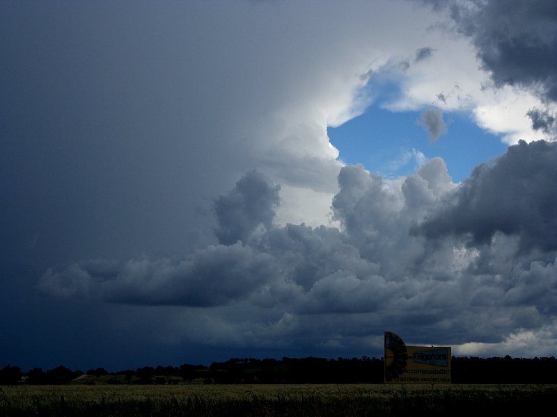 cumulonimbus supercell_thunderstorm : S of Coonabarabran, NSW   25 November 2005