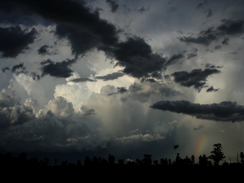 cumulonimbus supercell_thunderstorm : W of Barradine, NSW   25 November 2005