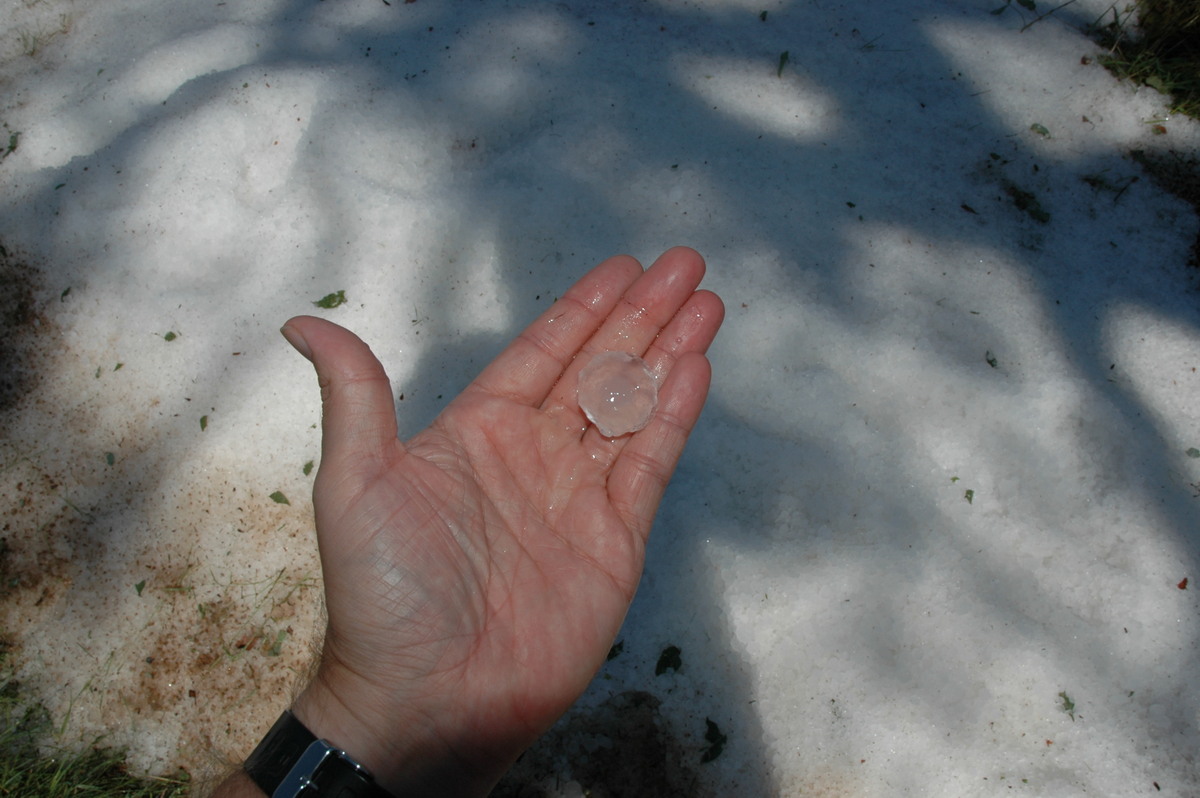 hailstones hail_stones : Warialda, NSW   26 November 2005