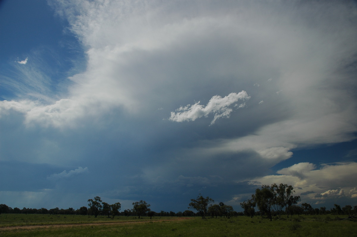 anvil thunderstorm_anvils : Collarenabri, NSW   26 November 2005