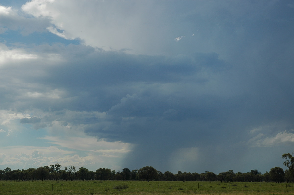 raincascade precipitation_cascade : Collarenabri, NSW   26 November 2005