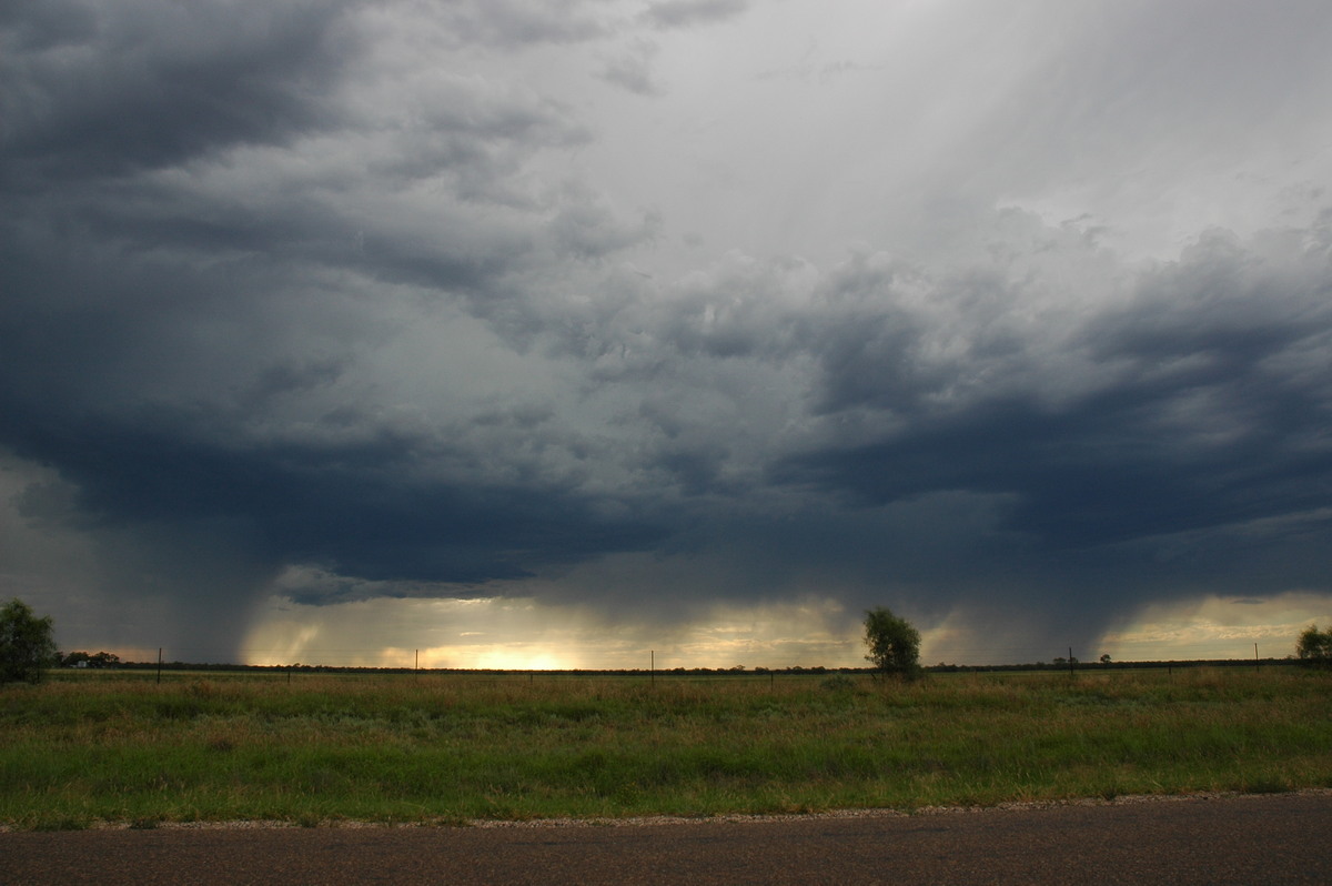 raincascade precipitation_cascade : Collarenabri, NSW   26 November 2005