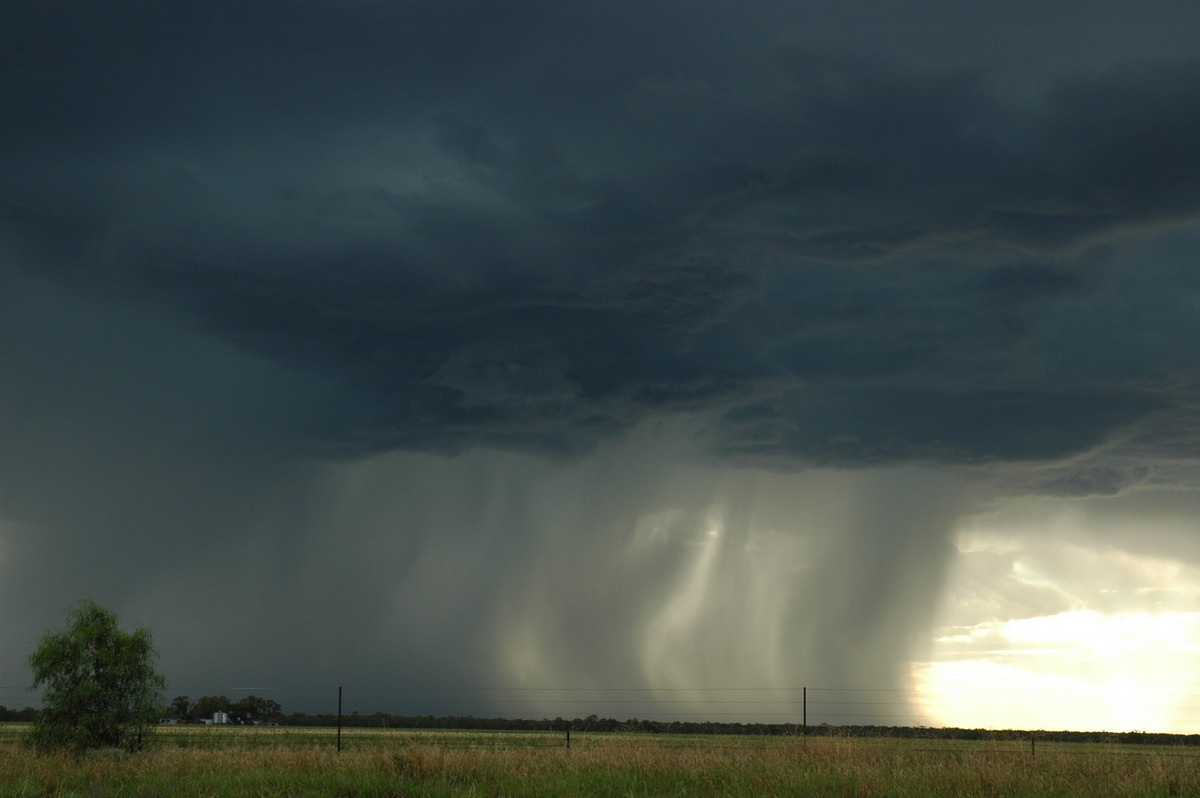 cumulonimbus thunderstorm_base : Collarenabri, NSW   26 November 2005