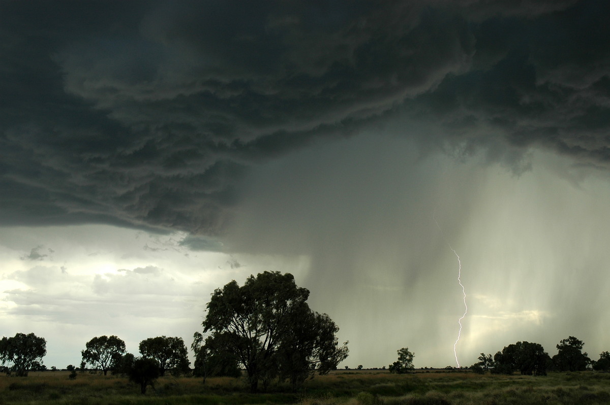 lightning lightning_bolts : Collarenabri, NSW   26 November 2005