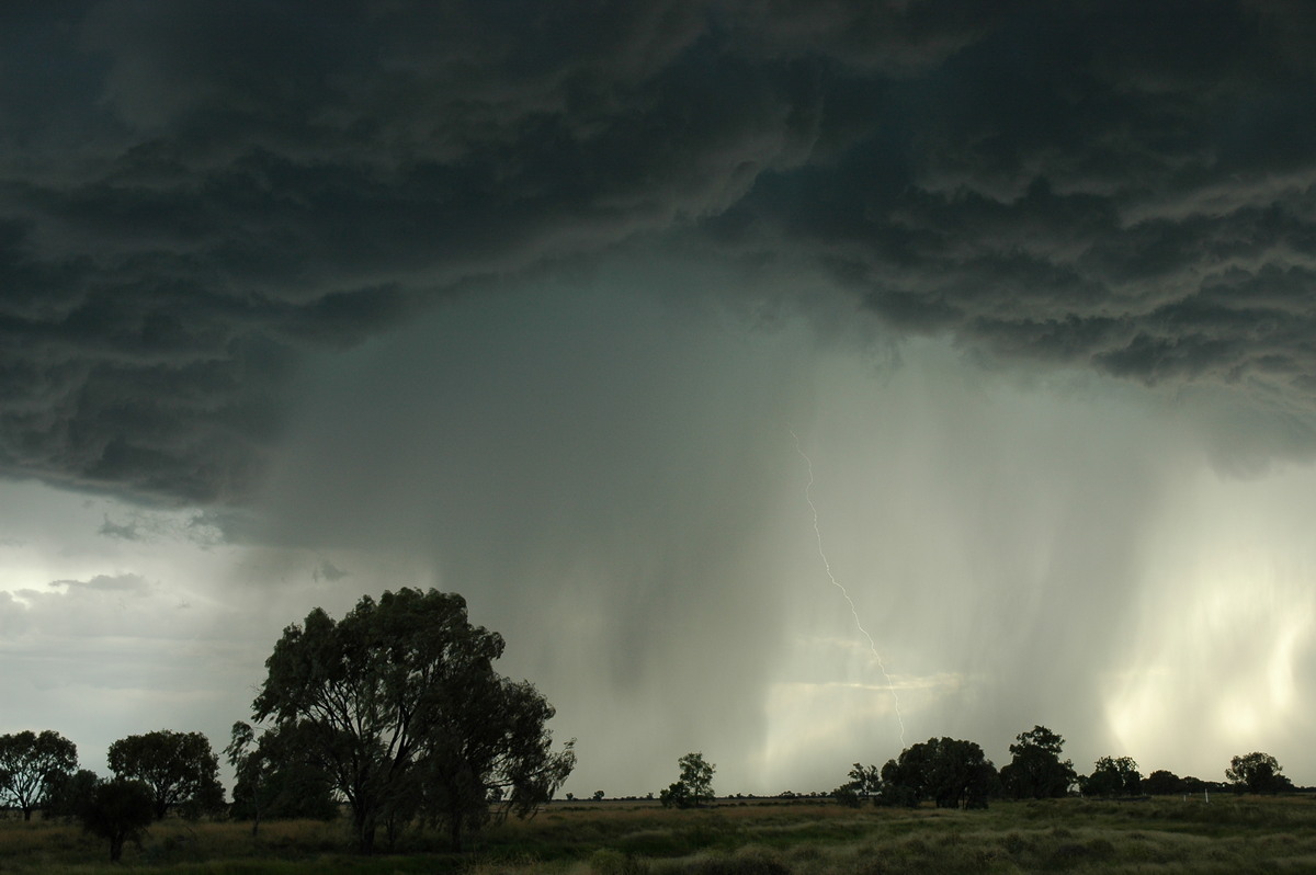 raincascade precipitation_cascade : Collarenabri, NSW   26 November 2005