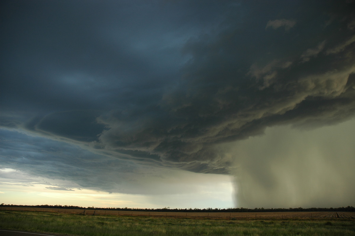 cumulonimbus thunderstorm_base : Collarenabri, NSW   26 November 2005