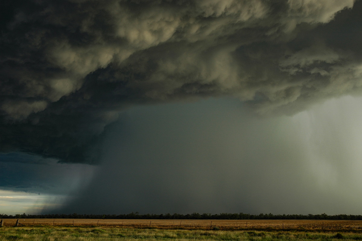 cumulonimbus thunderstorm_base : Collarenabri, NSW   26 November 2005