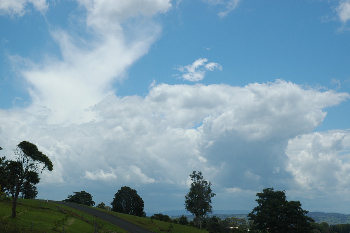 cumulus mediocris : McLeans Ridges, NSW   29 November 2005