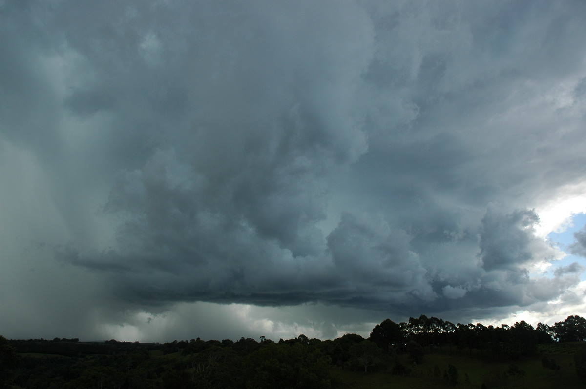 cumulonimbus thunderstorm_base : near Lismore, NSW   29 November 2005