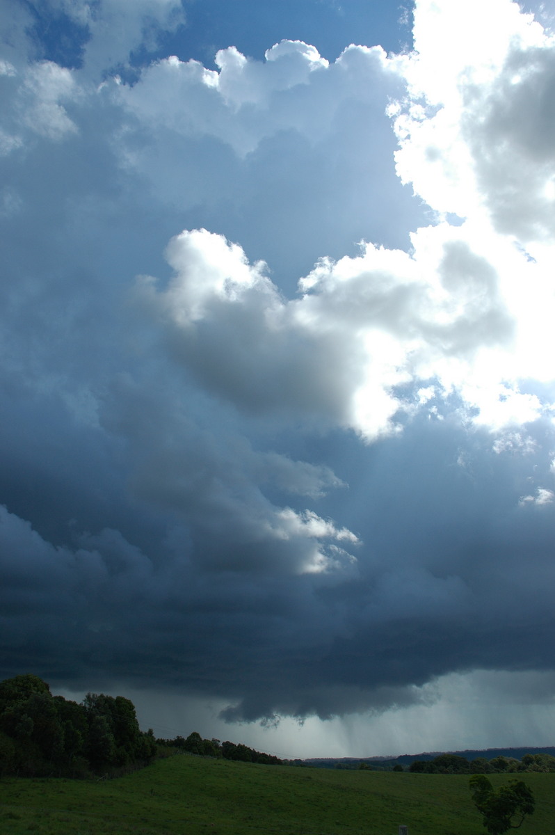 cumulonimbus thunderstorm_base : Saint Helena, NSW   29 November 2005