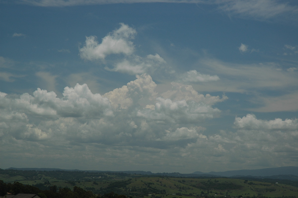 cumulus mediocris : McLeans Ridges, NSW   30 November 2005