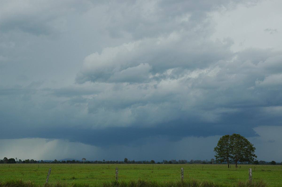 cumulonimbus thunderstorm_base : Casino, NSW   1 December 2005