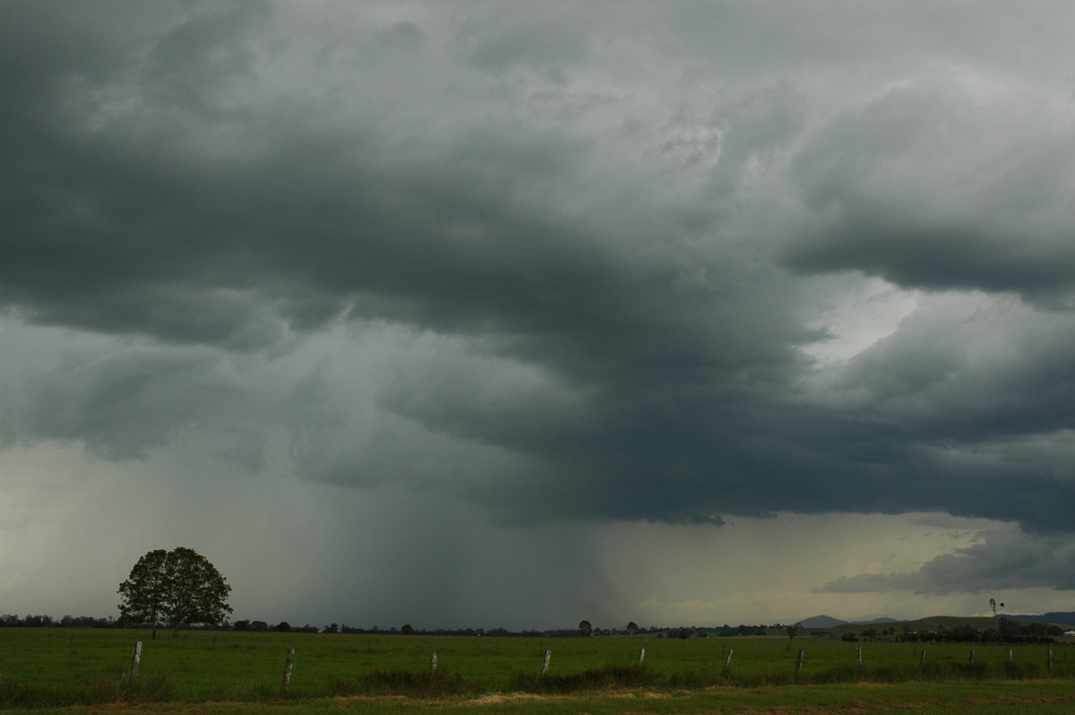 cumulonimbus thunderstorm_base : Casino, NSW   1 December 2005